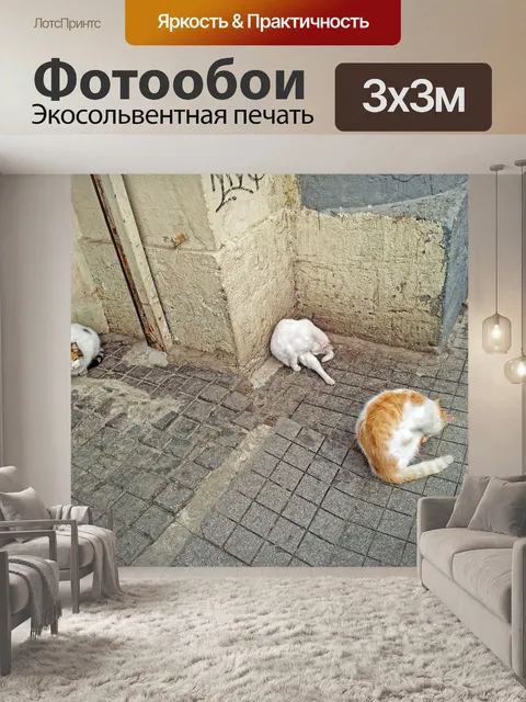 Фотообои Кошки