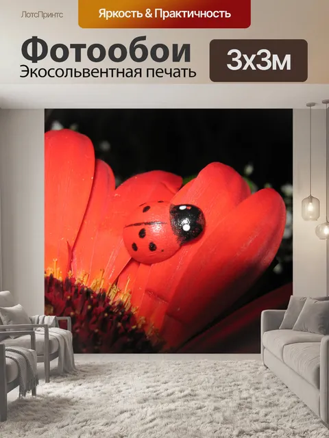 Фотообои Божья коровка на Оранжевая Гербера