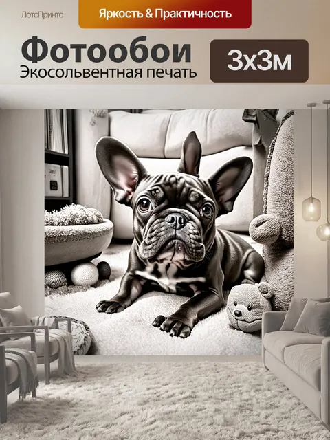 Фотообои изображение французского бульдога