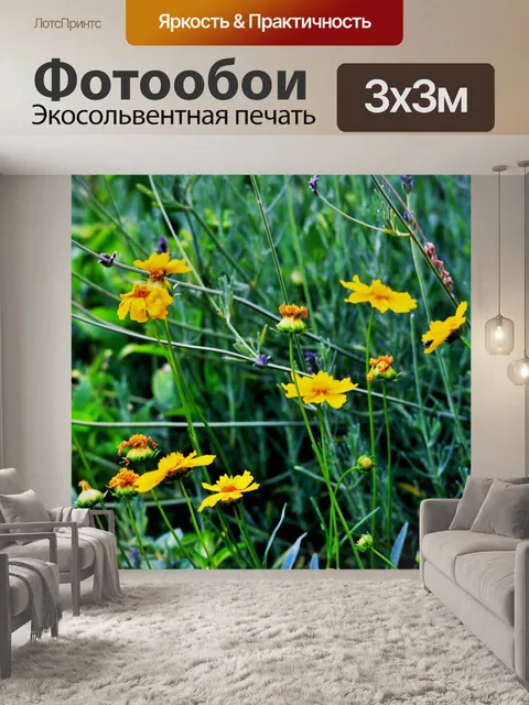 Фотообои желтые ромашки и лаванды