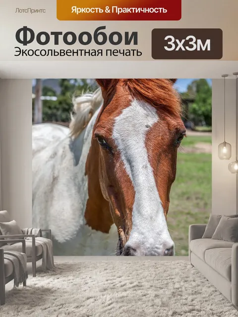 Фотообои Лошадь