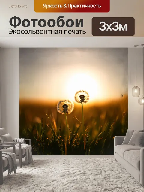 Фотообои пара одуванчиков на горизонте, искренне окрашенных закатными лучами, легко бросают тени на соседние травинки