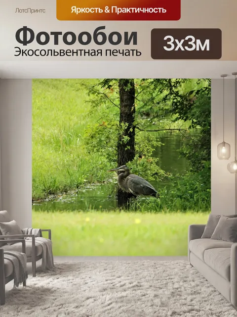 Фотообои Желтая коронованная ночная цапля в пруду