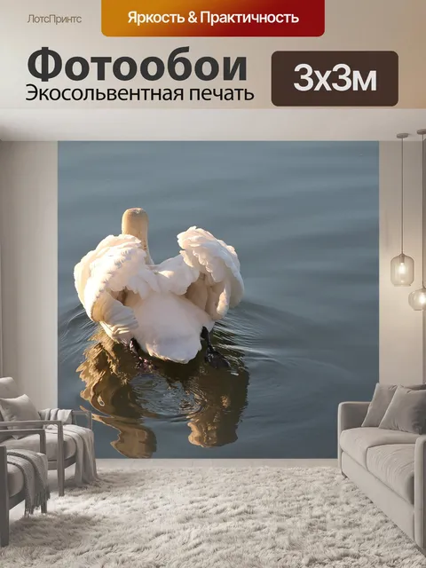 Фотообои Лебедь