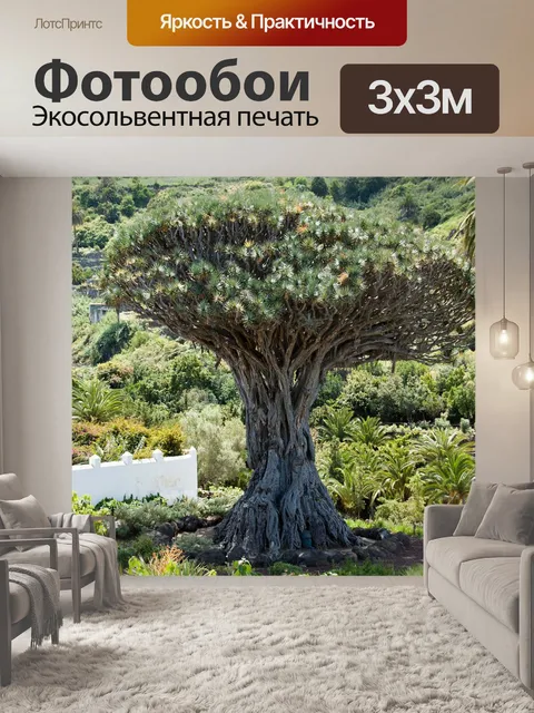 Фотообои Драконово дерево