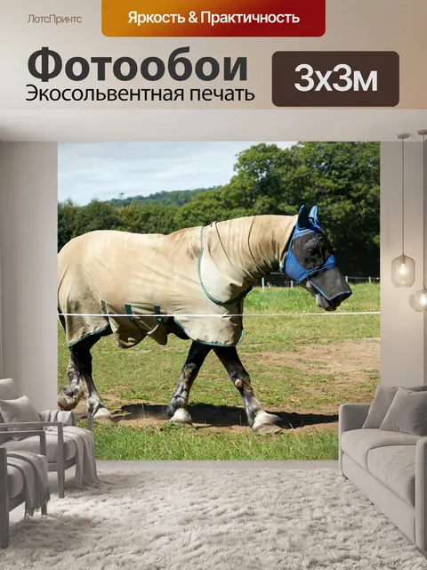 Фотообои Лошадь на лугу