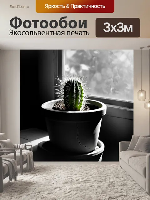 Фотообои монохромное изображение кактуса