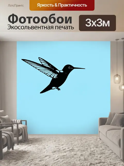 Фотообои животные в стиле однострочный рисунок, изящная колибри, парящая в воздухе