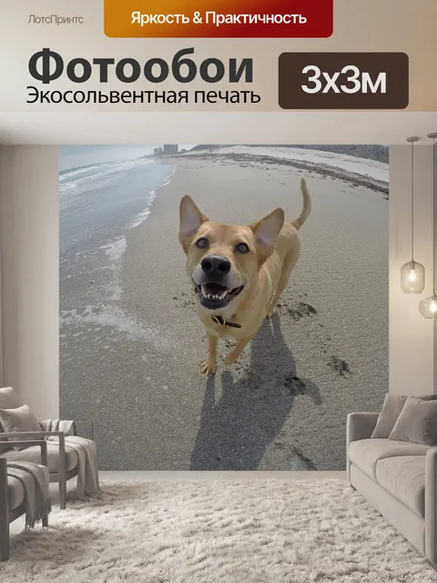 Фотообои Пляж