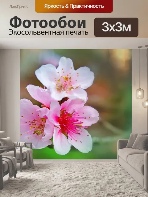 Фотообои Вишневый цвет цветы розовый макрос