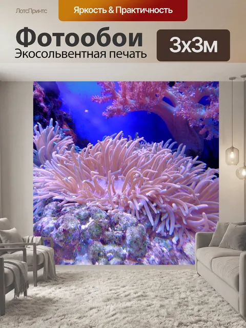 Фотообои Коралл