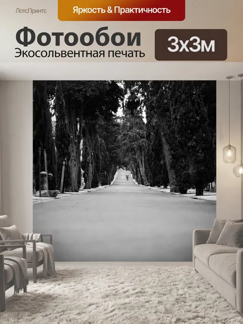 Фотообои Дорога
