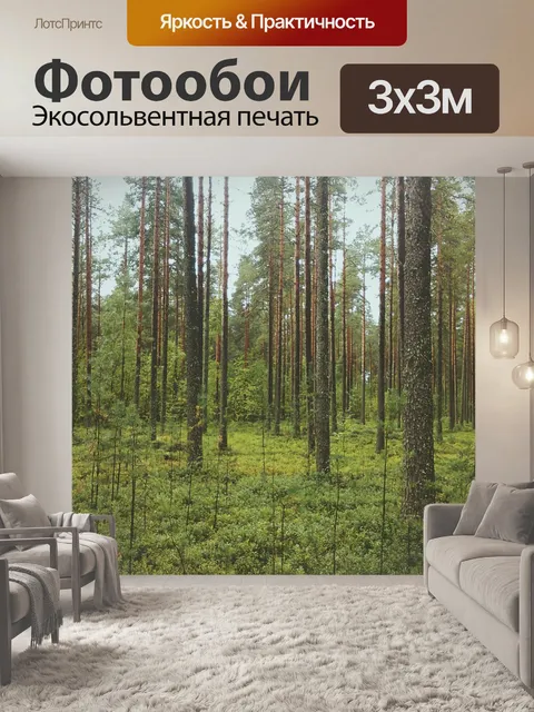 Фотообои Лес
