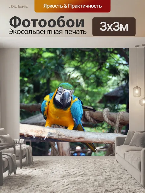 Фотообои синий и желтый ара попугай