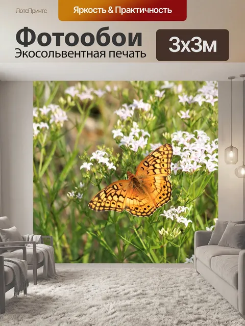 Фотообои Пестрая рябчик Бабочка 11