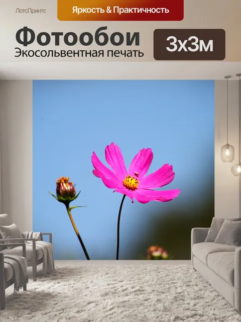 Фотообои Космос