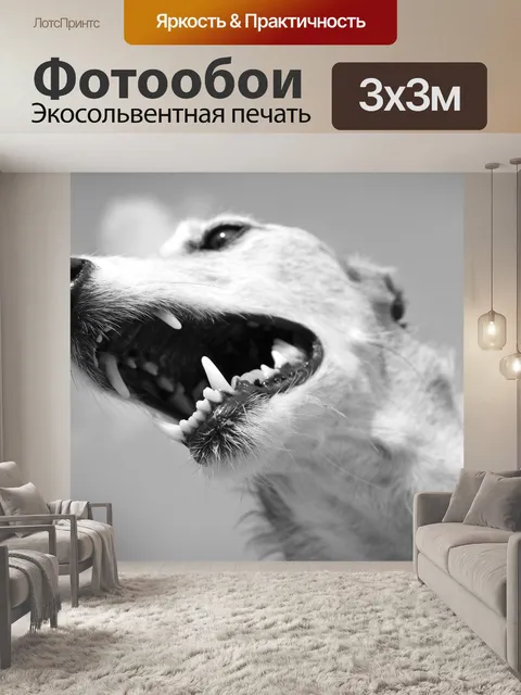Фотообои Собака