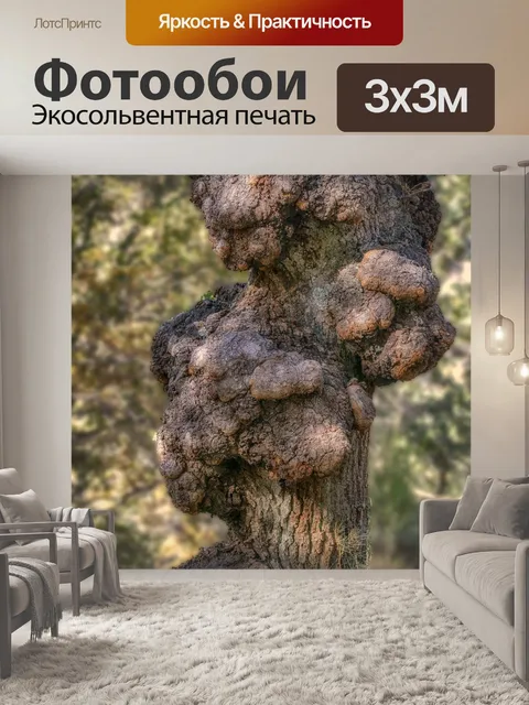 Фотообои Ствол