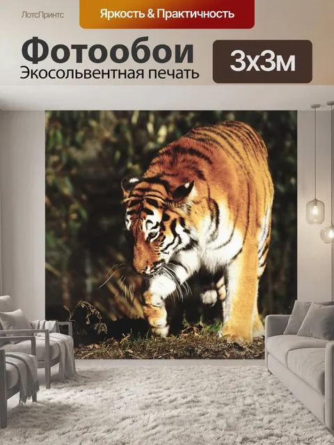 Фотообои Тигр
