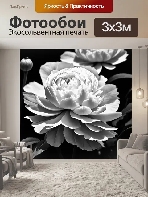 Фотообои пионы в черно-белом стиле