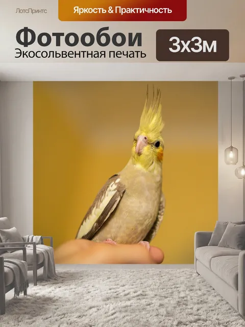 Фотообои Нимфа