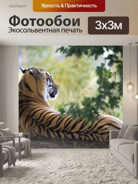 Фотообои Тигр