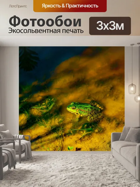 Фотообои Лягушка