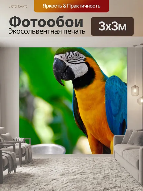 Фотообои Попугай