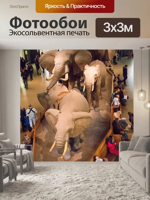 Фотообои Американский музей естественной истории