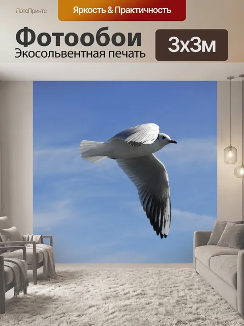 Фотообои Двигаться