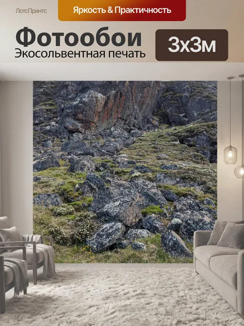 Фотообои Арктический