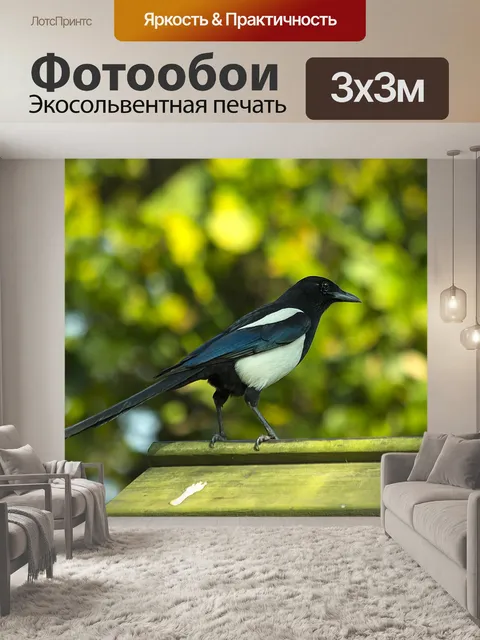 Фотообои Птицы