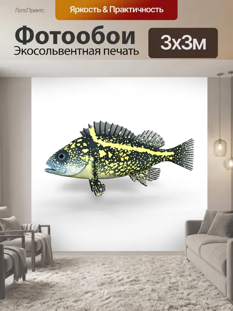 Фотообои Морской окунь