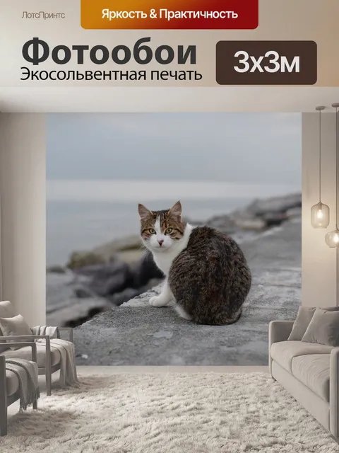 Фотообои Кошка