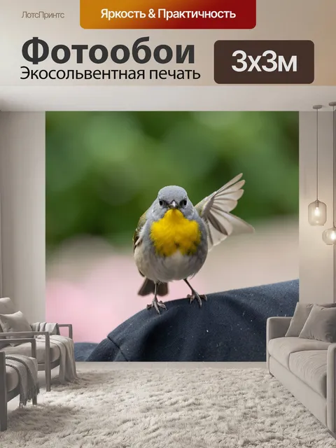 Фотообои Птичка с жёлтой грудкой