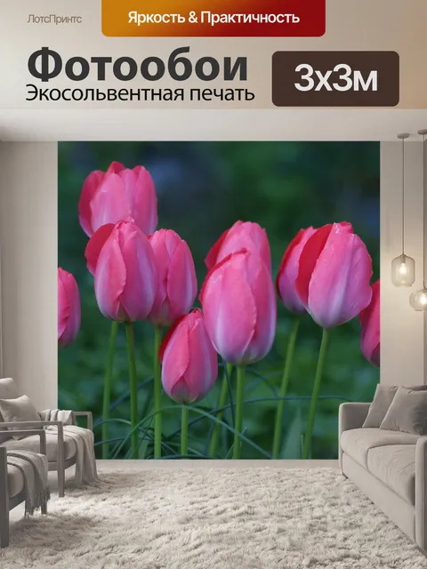 Фотообои Тюльпаны