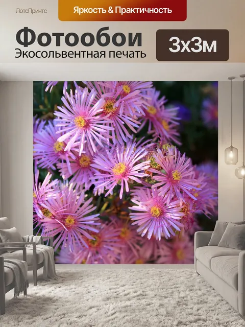 Фотообои изящные vygies в розовом