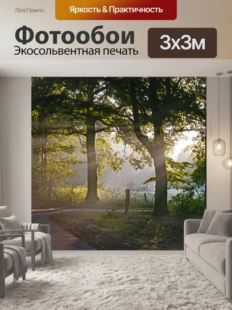 Фотообои Осенний лес