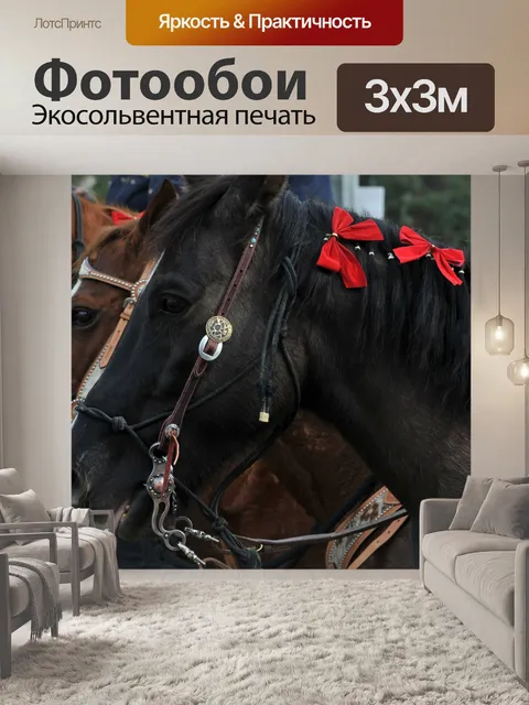 Фотообои Три Праздник Лошади