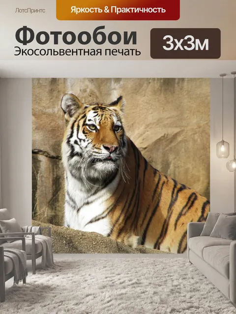 Фотообои Солнечный день тигра