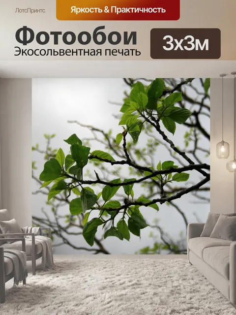 Фотообои листья на зеленой небо