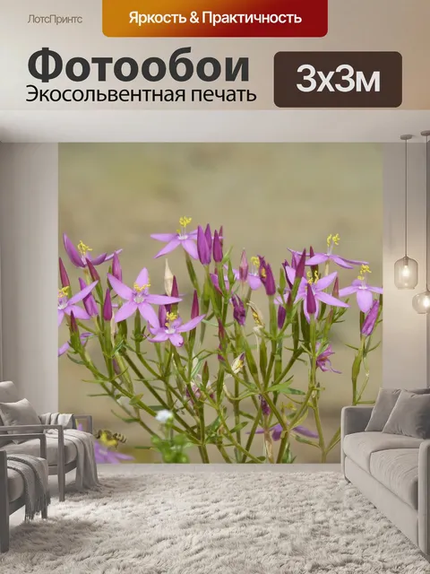 Фотообои Цветы
