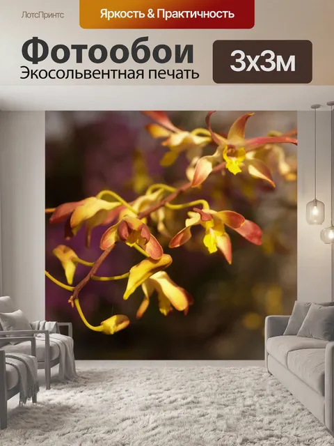Фотообои Фото цветка орхидеи