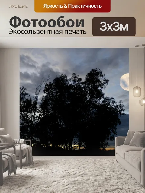 Фотообои Силуэт деревьев и полная луна