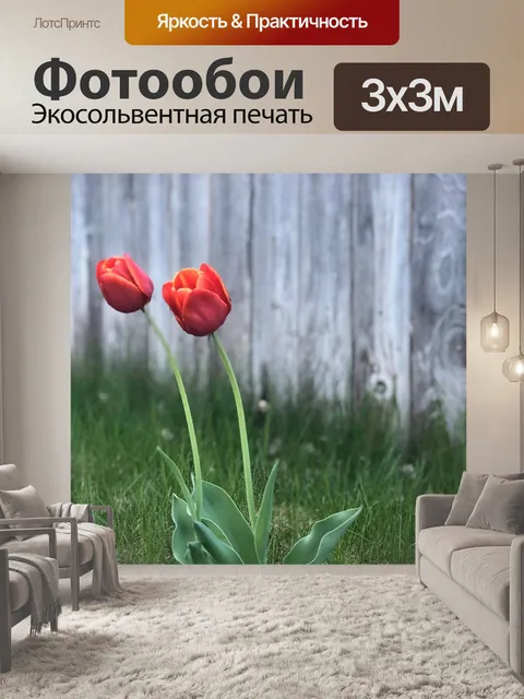 Фотообои Цветы