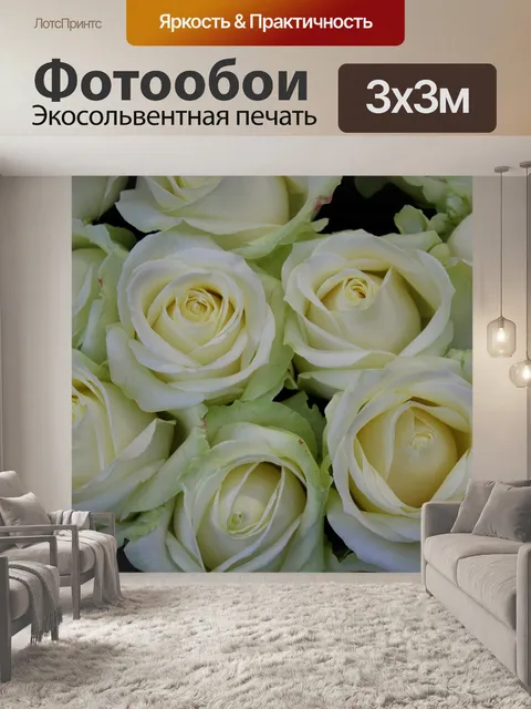 Фотообои Белые розы