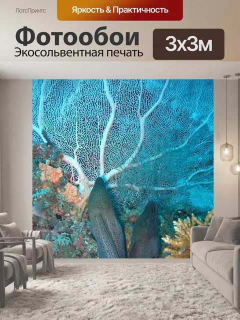 Фотообои Коралл