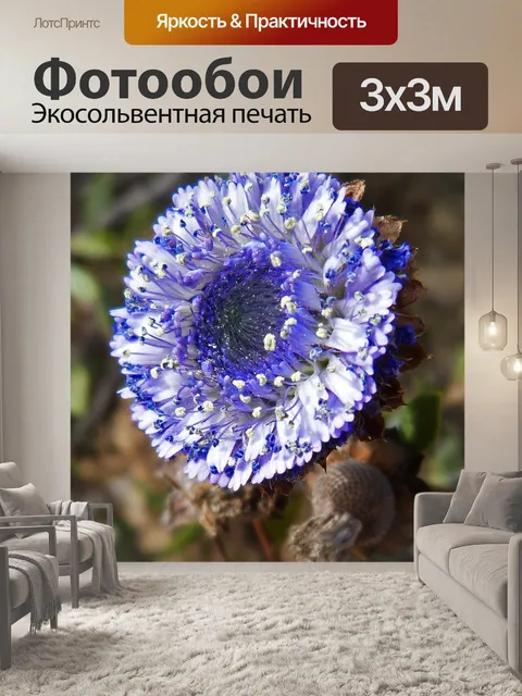 Фотообои Лесной цветок