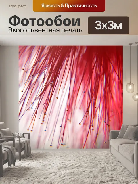 Фотообои Цветочный макрос 11