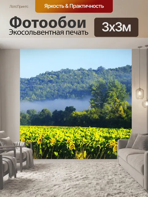 Фотообои Подсолнухи